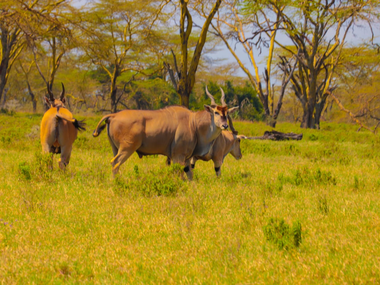 Diani Beach & Coral Reef Escape